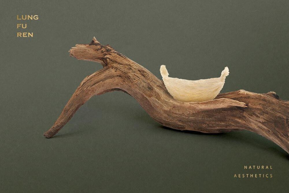 官網-龍夫人 02.jpg