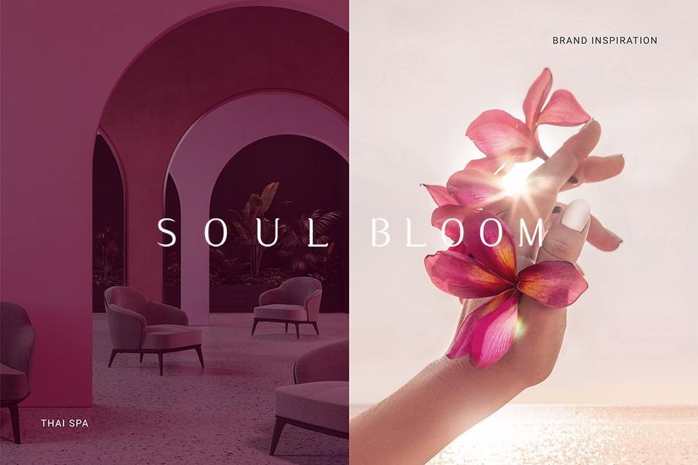 官網-Nutrislim Thai Spa logo 03.jpg