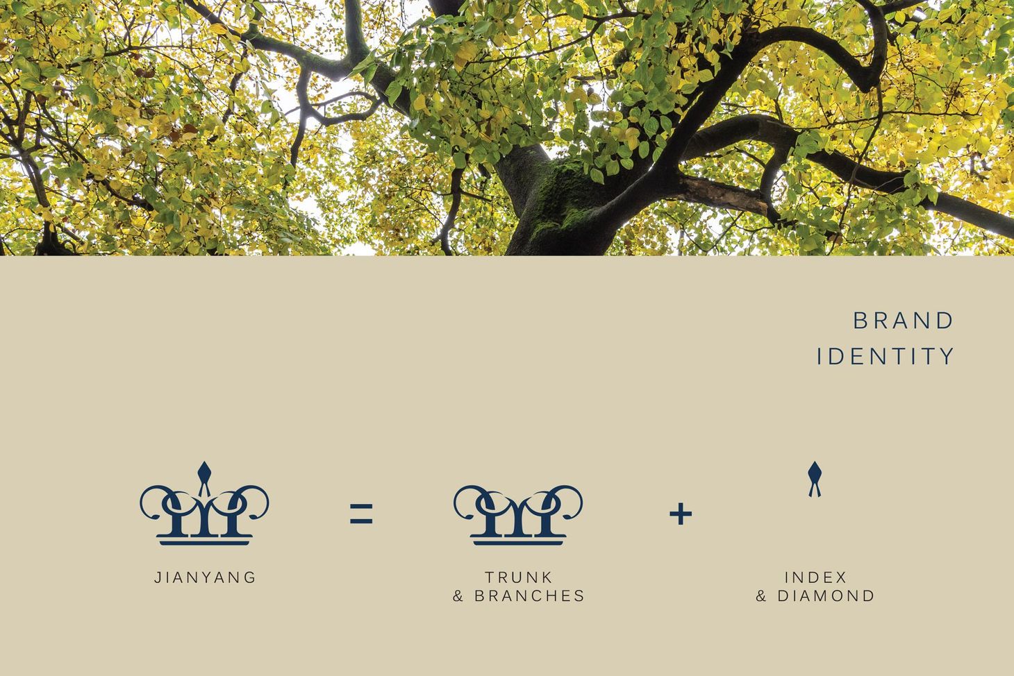 健揚國際 1000x687-02.jpg