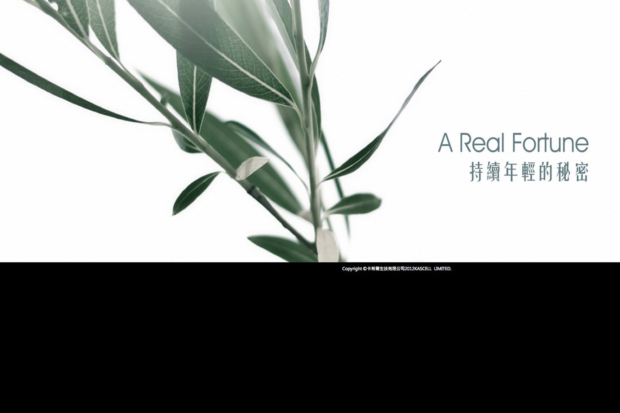 卡希爾生技有限公司展示圖-index-b.jpg