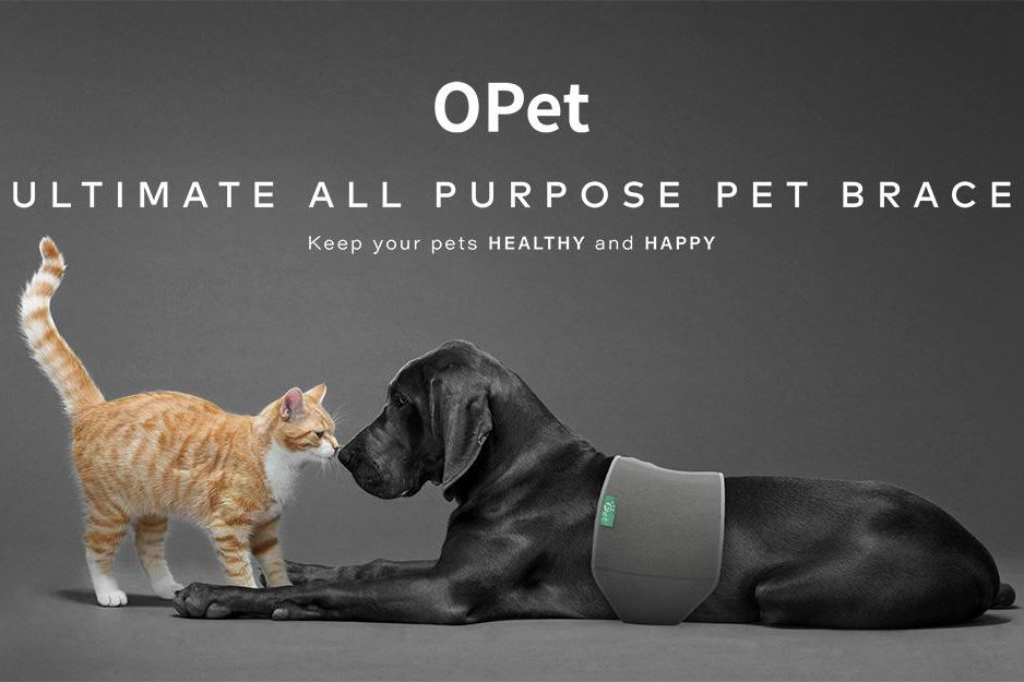 官網 大-light care 拷貝.jpg