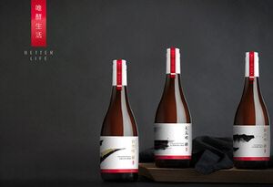 天穗食品 ‧ 唯酵生活系列