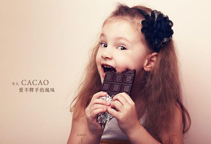 國蕙企業有限公司 官網設計