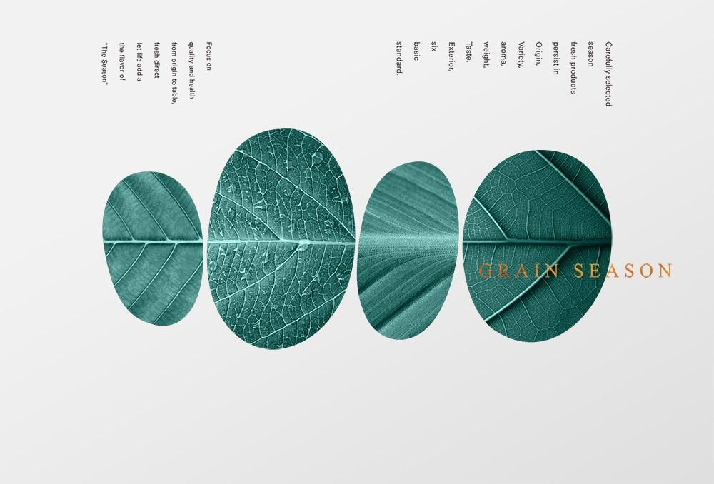 官網-農禾四季 01 拷貝.jpg